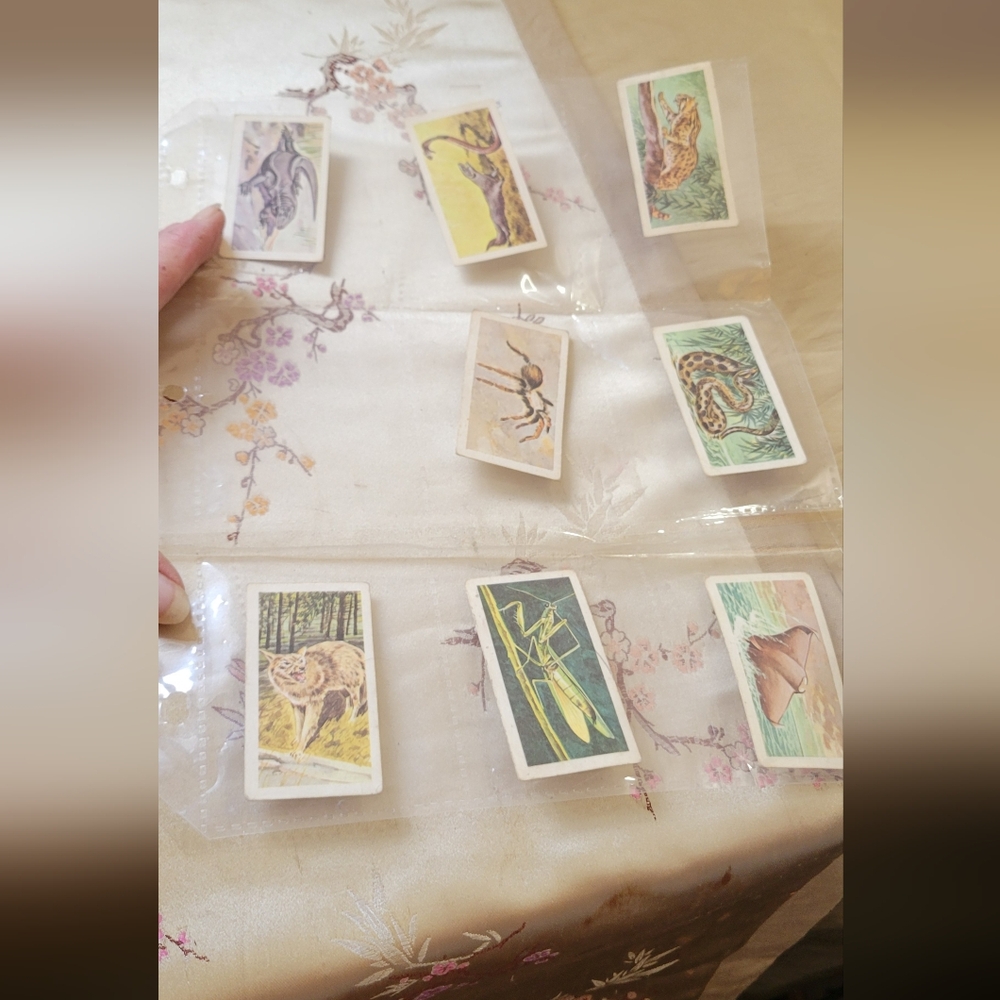 Nabisco  Animal and Insect Collector Cards